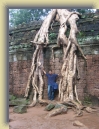 Angkor (203) * 1200 x 1600 * (1.27MB)